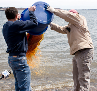 041509_203.jpg