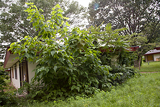 TM_080809_343.jpg
