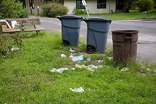 TM_080809_350.jpg